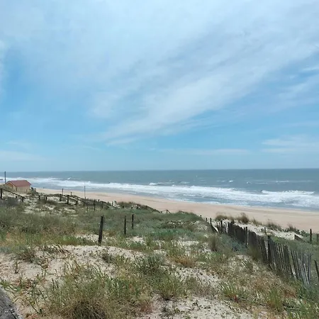 Апартаменты Mira Essence Прая-ди-Мира